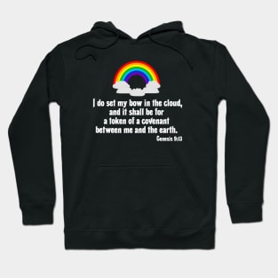 Rainbow Noah Covenant Bible Verse Genesis 9:13 Hoodie